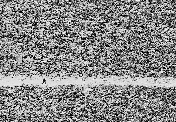 Walking through the confusion