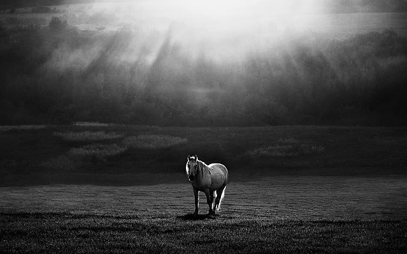 Morning appearance