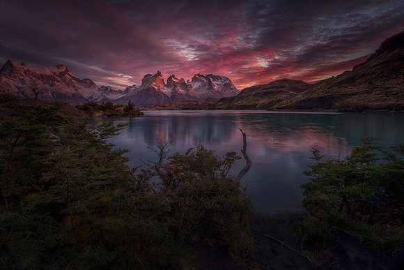 Purple dawn over the calm lake