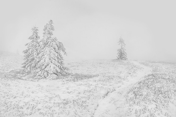 Path on the ridge