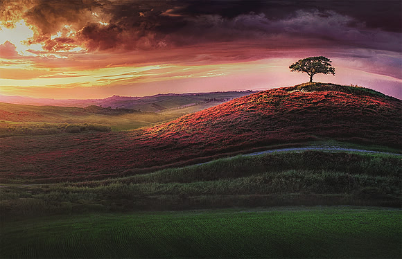 Guardian of the violet hill